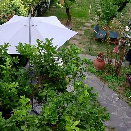 The Nest Apartment *
